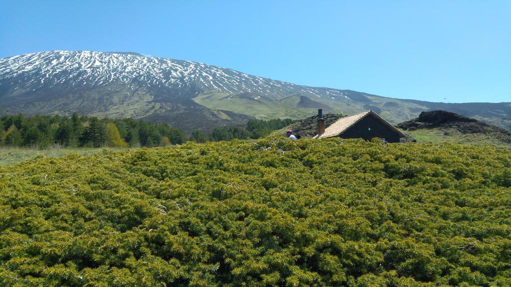 Etna Bike Holiday Zafferana Etnea Eksteriør bilde
