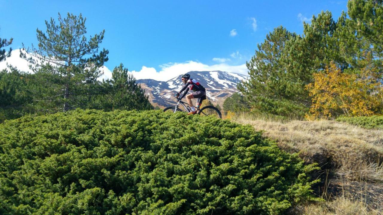 Etna Bike Holiday Zafferana Etnea Eksteriør bilde